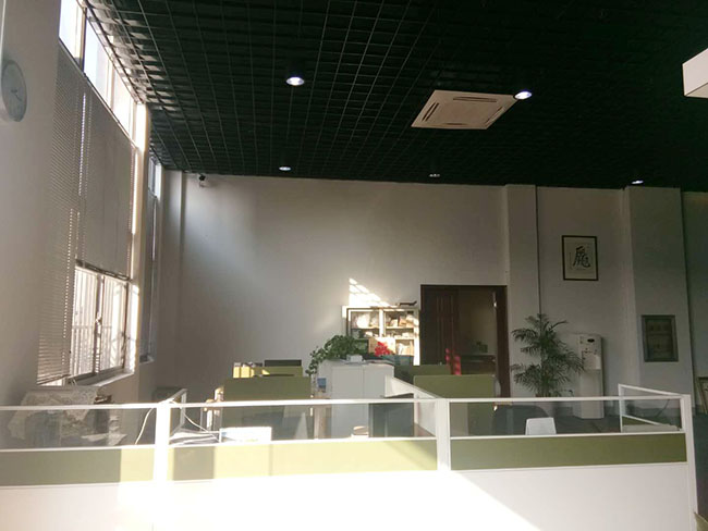 公司环境
